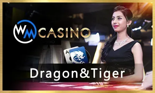 VIP Program Icon